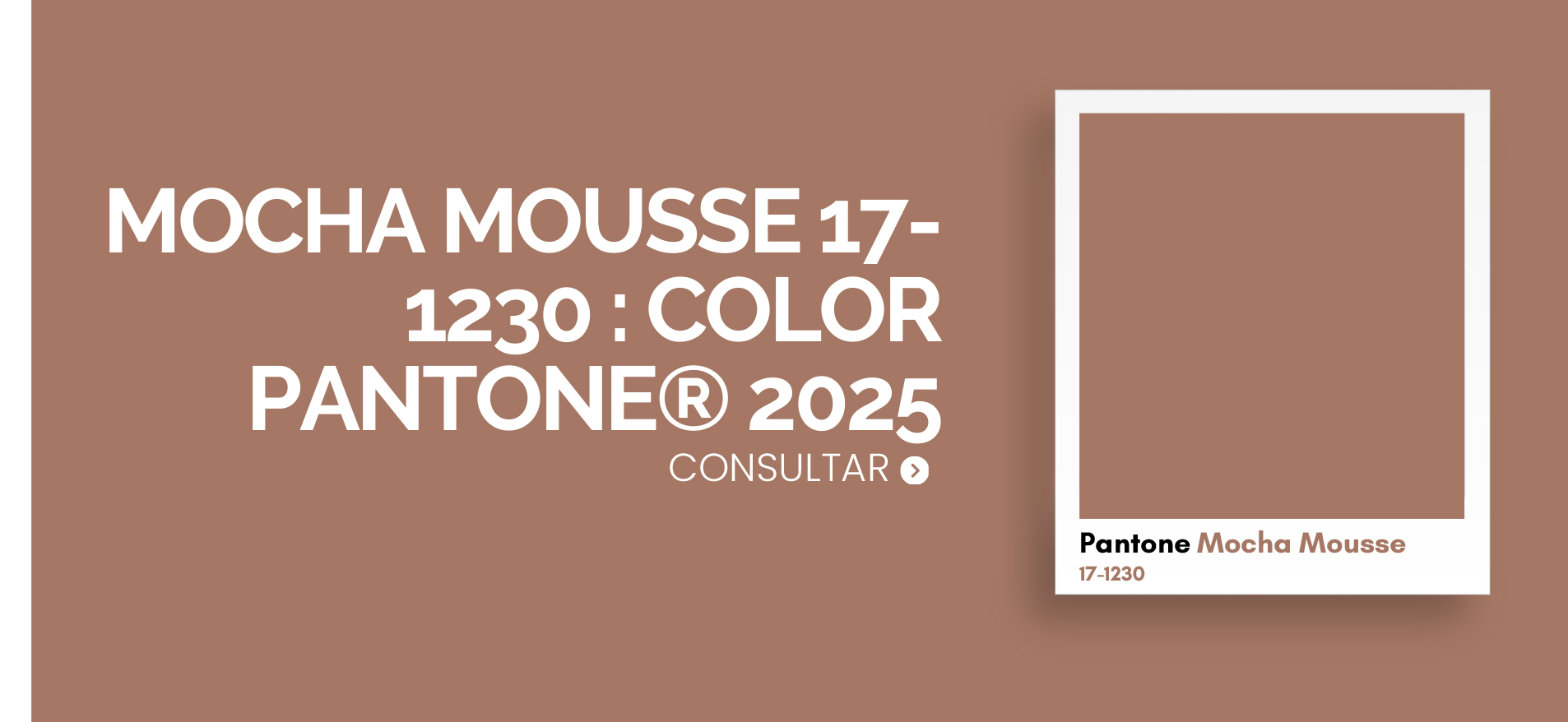 color pantone 2025