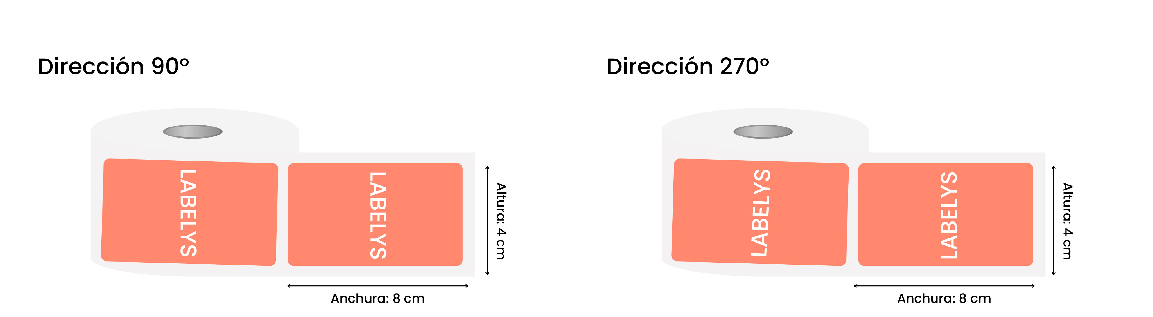 direccion guia 2